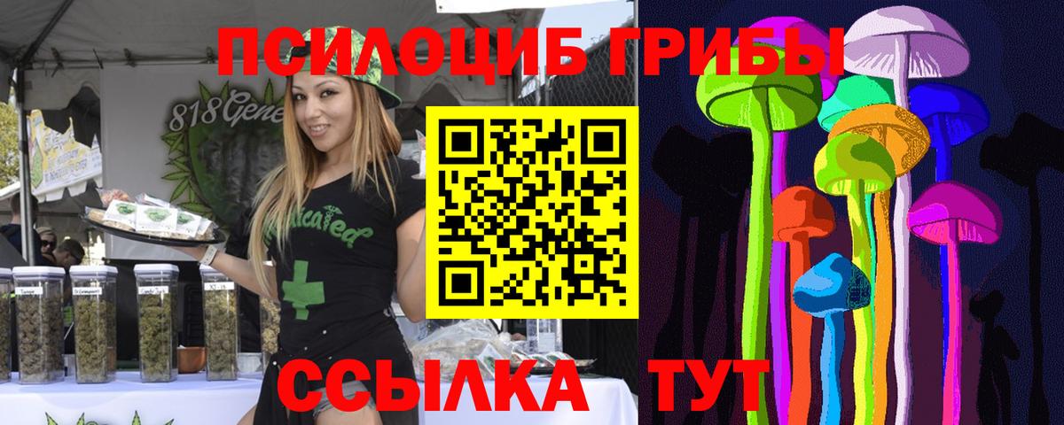 Армавир  Галлюциногенные грибы Psilocybe  Вход с VPN 